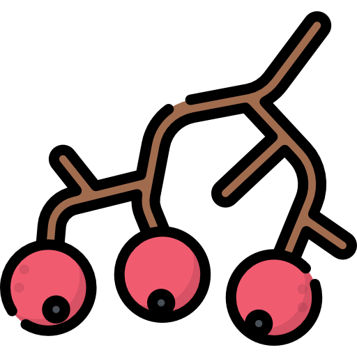 Berries icon