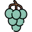 Grapes icon 64x64