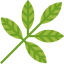 Leaf icon 64x64