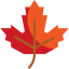 Maple leaf icon 64x64