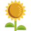 Sunflower icon 64x64