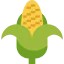 Corn icon 64x64