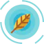 Leaf icon 64x64