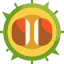 Chestnut ícono 64x64