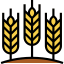 Wheat icon 64x64