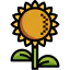 Sunflower icon 64x64