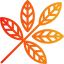 Leaf icon 64x64