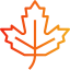 Maple leaf icon 64x64