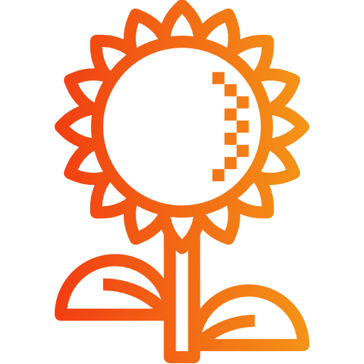 Sunflower icon
