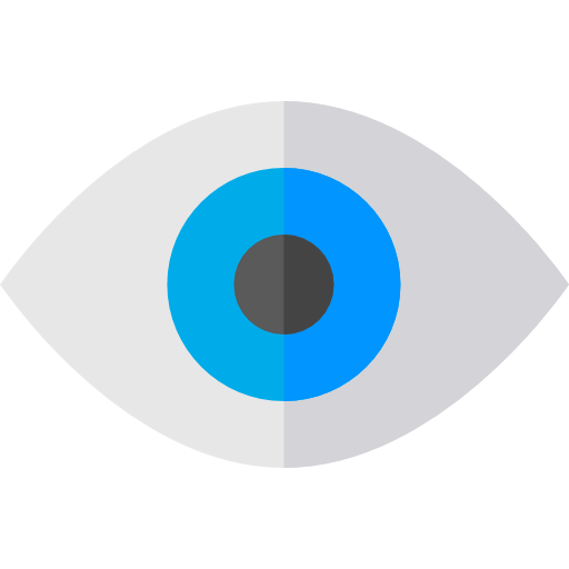 Visual icon