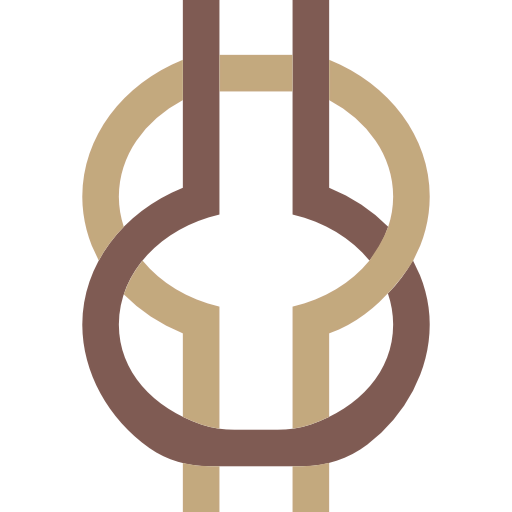 Wisdom icon