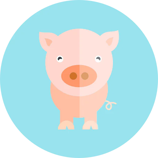 Pig icon