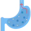 Stomach icon 64x64