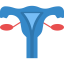 Uterus icon 64x64