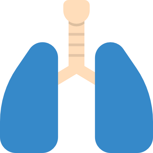 Lung icon