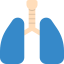 Lung icon 64x64