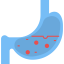 Stomach 상 64x64