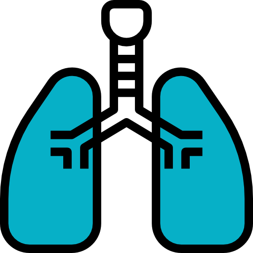 Lung icon
