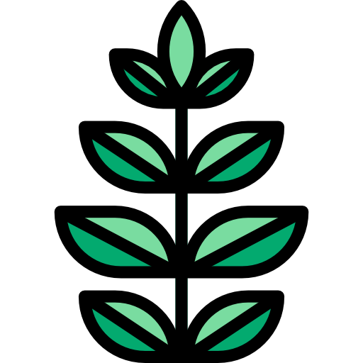 Spinach icon