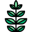 Spinach icon 64x64