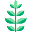 Spinach biểu tượng 64x64