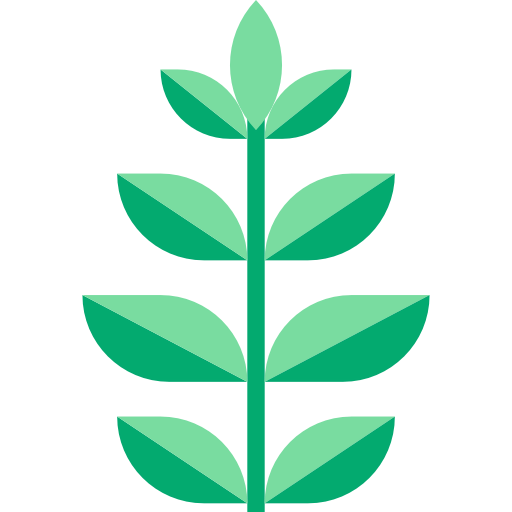 Spinach icon