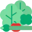 Vegetable icon 64x64