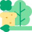Vegetables icon 64x64