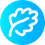 Leaf icon 64x64