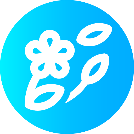 Spring icon