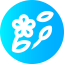 Spring icon 64x64