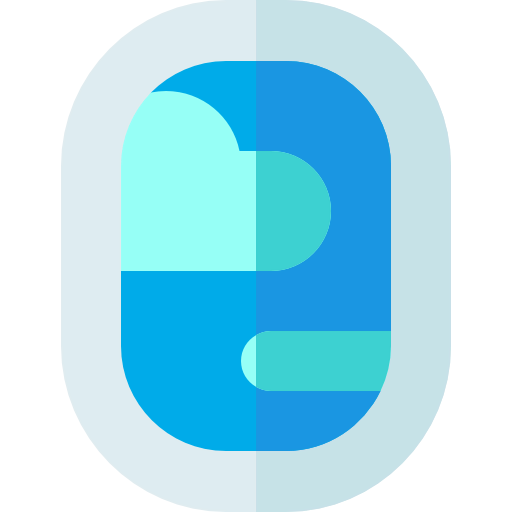 Window icon
