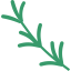 Rosemary icon 64x64