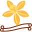 Vanilla biểu tượng 64x64