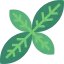 Basil アイコン 64x64