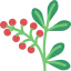 Berries icon 64x64