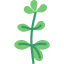 Oregano icon 64x64