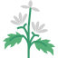 Herb icon 64x64
