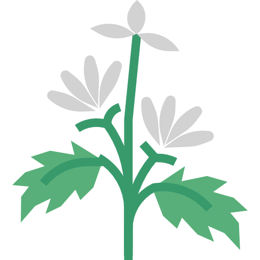 Herb icon
