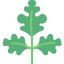 Parsley icon 64x64