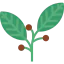 Berries icon 64x64