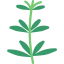 Herb icon 64x64