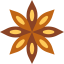 Anise icon 64x64