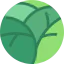 Ginkgo icon 64x64