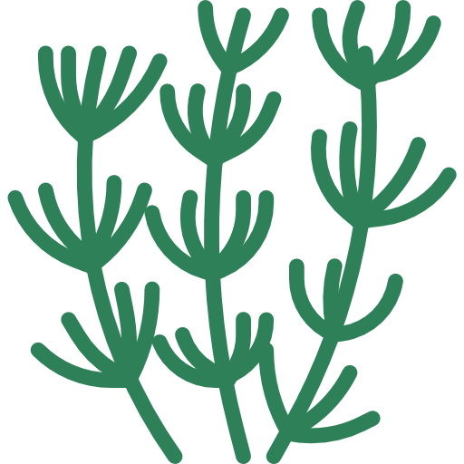 Herb icon