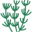 Herb icon 64x64