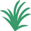 Lemongrass icon 64x64