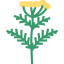Herb icon 64x64