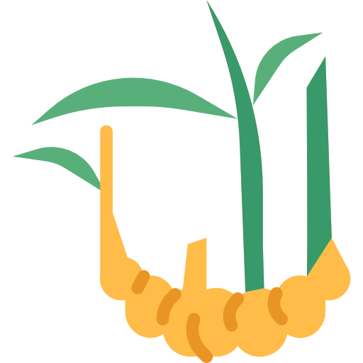 Ginger icon
