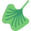 Lettuce icon 64x64